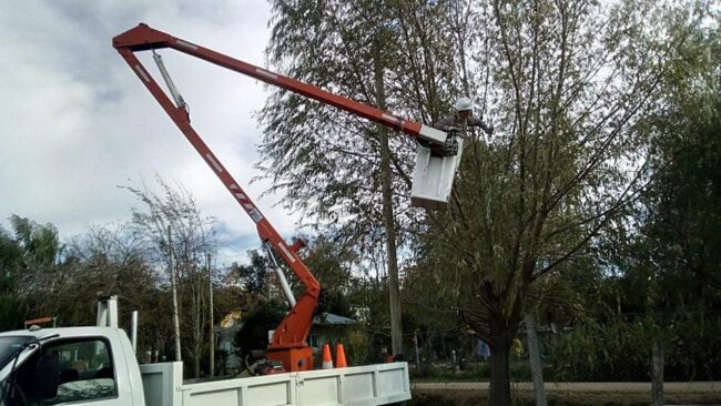 WhatsApp Image 2019-06-12 at 15.08.04