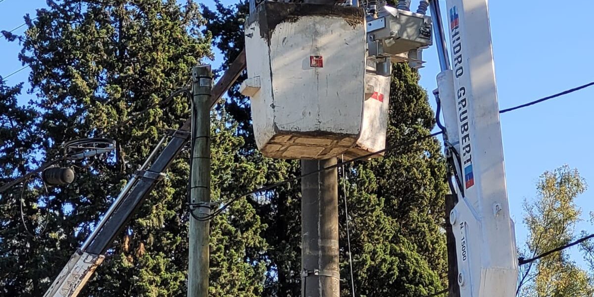 WhatsApp Image 2022-04-22 at 4.59.46 PM (1)