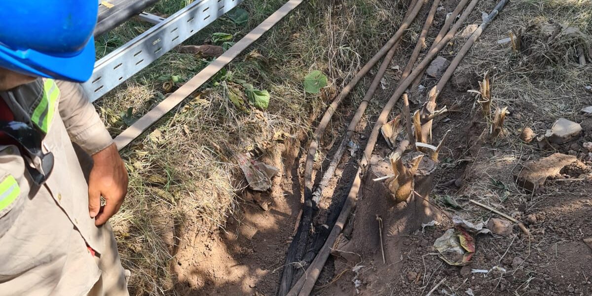 WhatsApp Image 2023-03-12 at 11.24.53