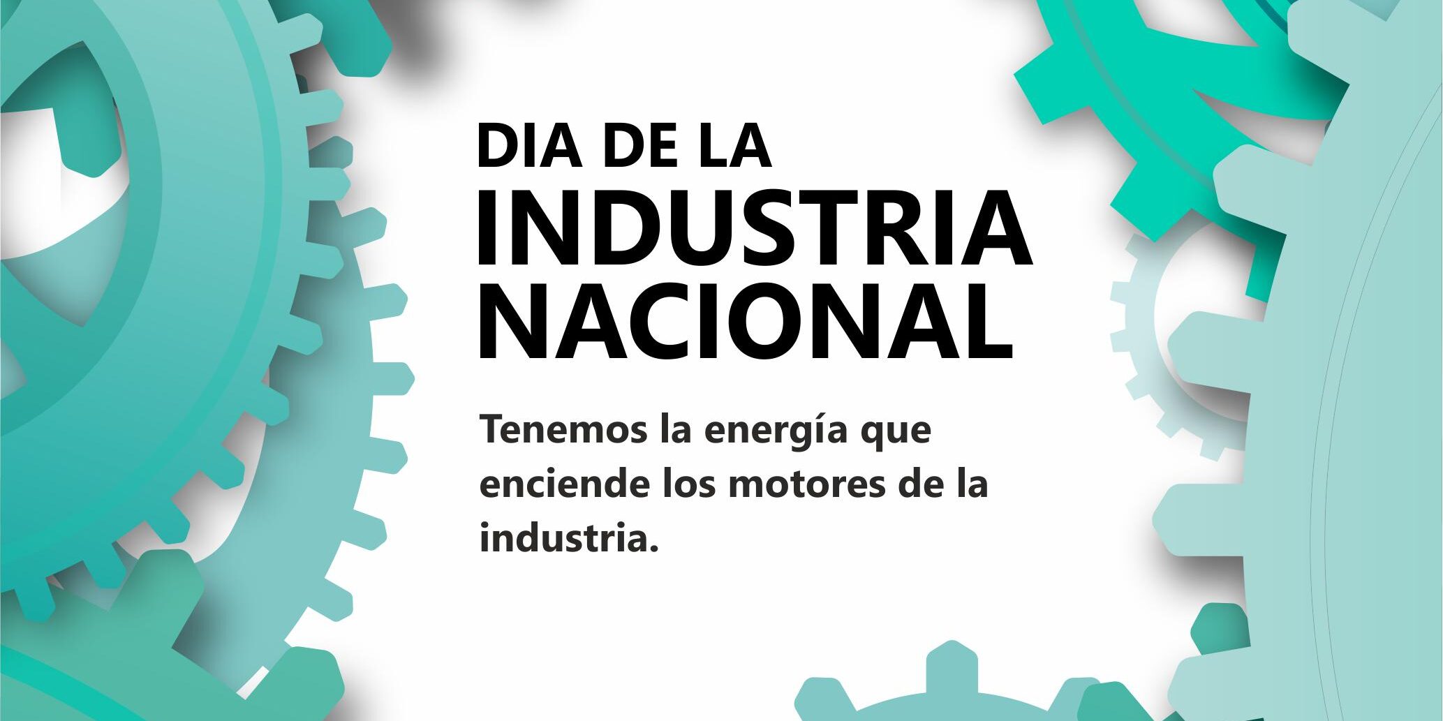 Dia De La Industria Nacional Cooperativa De Electricidad De Zárate