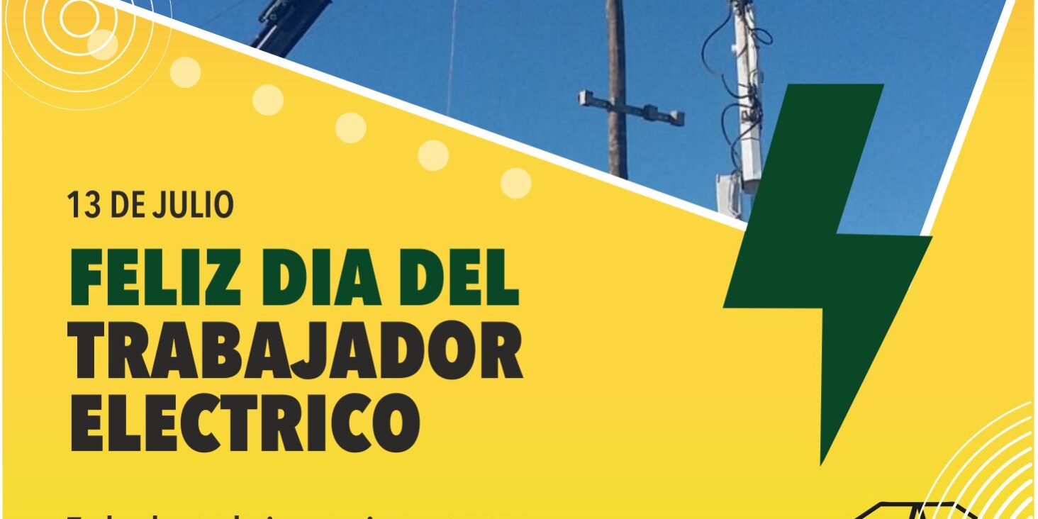 DIA TRABAJADOR ELECTRICO pagina