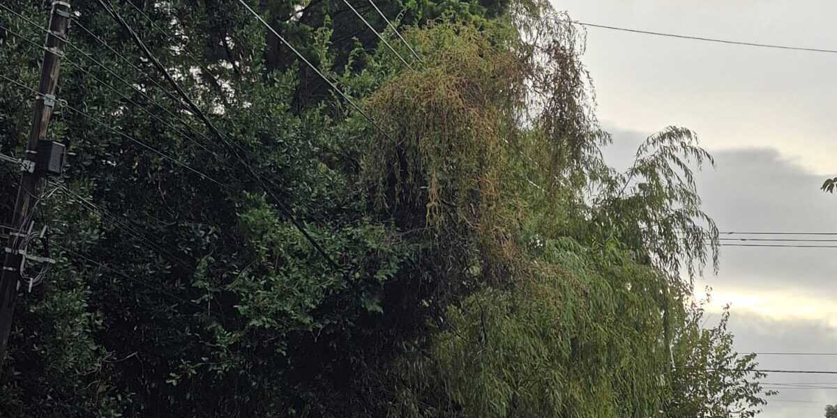 WhatsApp Image 2026-04-08 at 9.12.15 AM